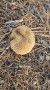image000010