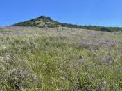 Songer Butte