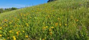 image020