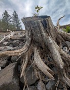 PXL_20251103_214234756