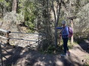 B4ECFAA5-76D8-4F44-A1D4-96D355841166_1