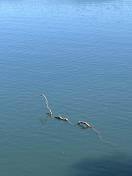 IMG_1766