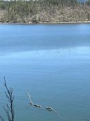 IMG_1768
