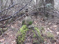 DSCN9321.jpg