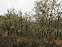IMG_2456.jpg