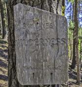 PXL_20240701_164908506