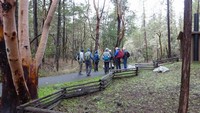 DSC02066.jpg