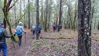 DSC02067.jpg