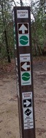 DSC02068.jpg