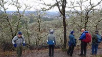 DSC02074.jpg