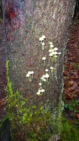 DSC02075.jpg