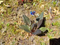 DSCN6700.jpg