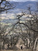 IMG_1554