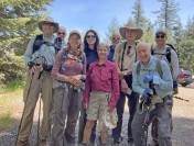 group