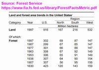 U.S.ForestArea.jpg