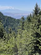 IMG_1385