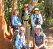 Group