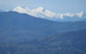 IMG_5573