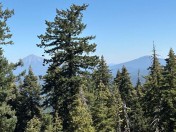 IMG_2680