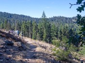 7. On the Trail