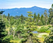 8 Pond with Mt Ashland