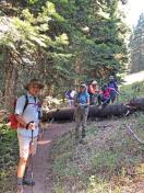 Log Hurdle