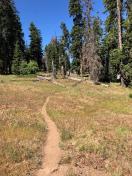 PCT
