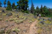 Soda Mountain AHG Hike, Friday, June 28, 2024 Fig9