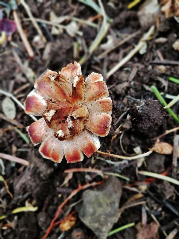 n_20181001_112137.jpg