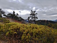 20181001_130932.jpg