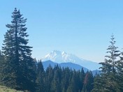 Mt.Shasta-PCTTH