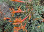 PXL_20240708_170141710