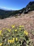 IMG_8450