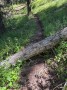 image004