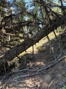 image004