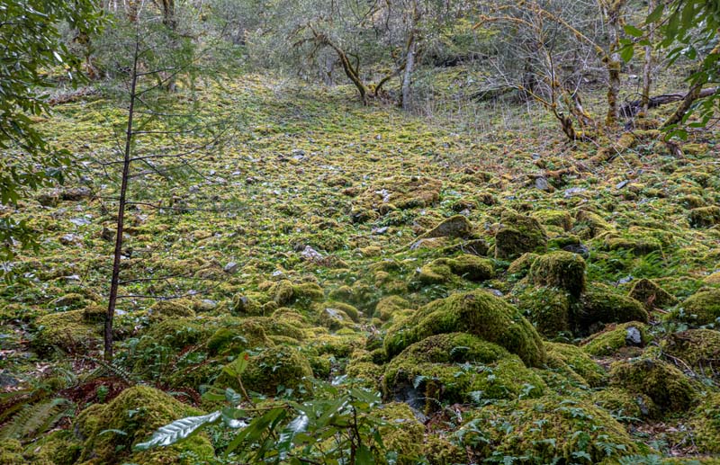 n_P1030610.jpg