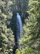 IMG_7856