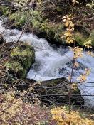 3.Upper Union Creek cascade