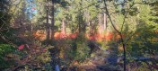 20251015_101731
