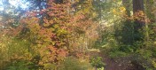 20251015_103006