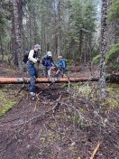 Downfall just past Knob Falls spur trail