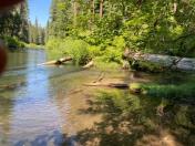 Creek (right under log) flowing into the Rogue