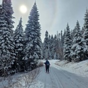 3. 4619423676378799405