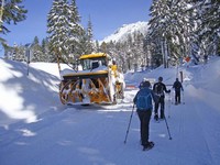 DSC09024.jpg