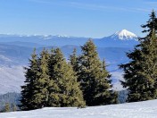 IMG_4206