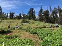 IMG_1451.jpg