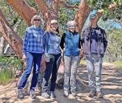 Group