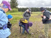 Discovery and identification