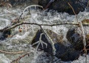 PXL_20250210_193109660
