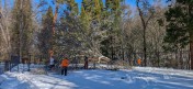 PXL_20250210_200845054